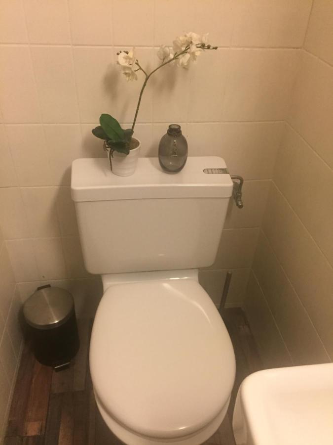 Petit Appart De Charme Eau Chaude Solaire Renovation 2021 Wifi Disponible Belvedere 5 Saint-Luc Exteriör bild